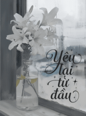 yeu-lai-tu-dau